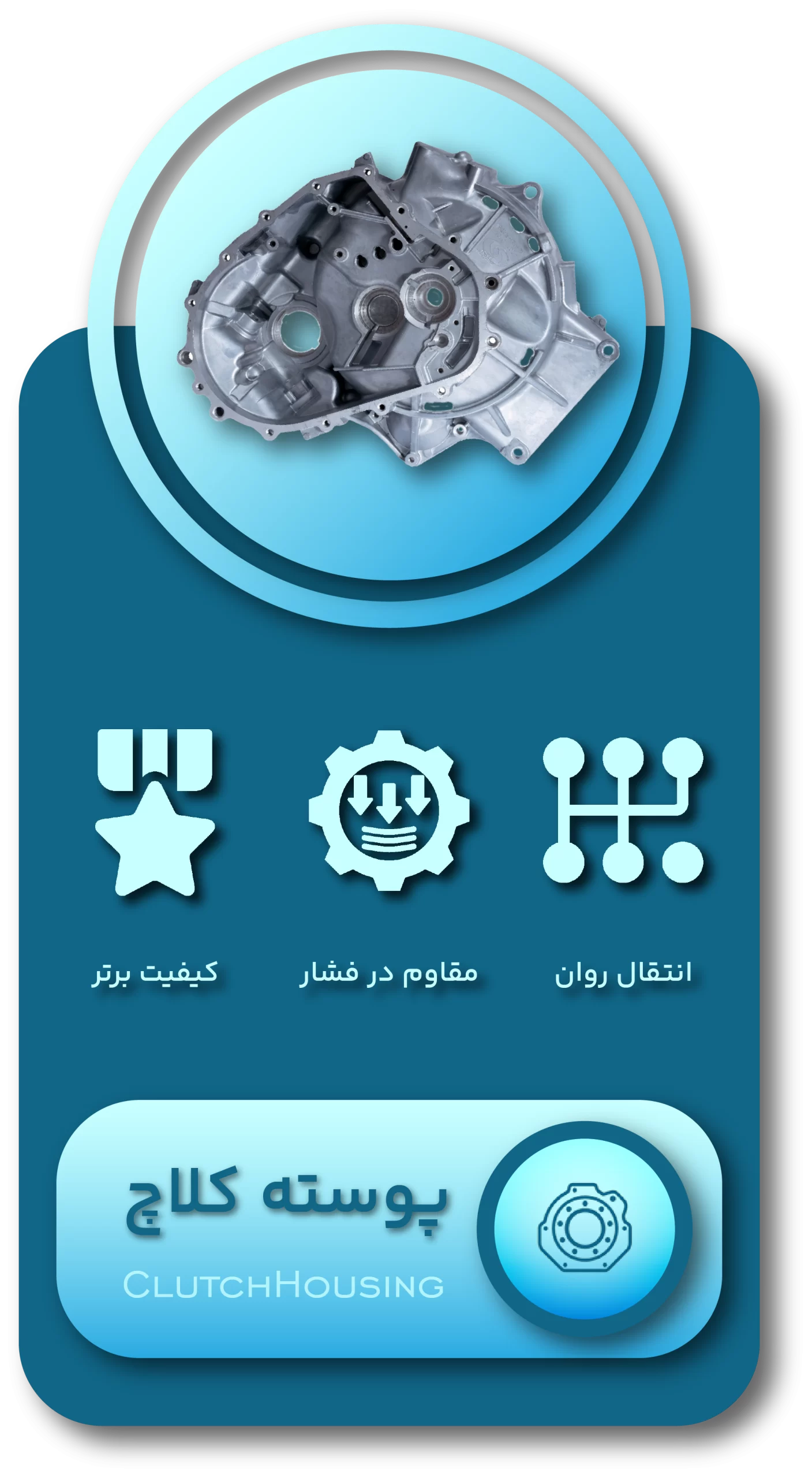 اینفوگرافی دسته بندی پوسته کلاچ