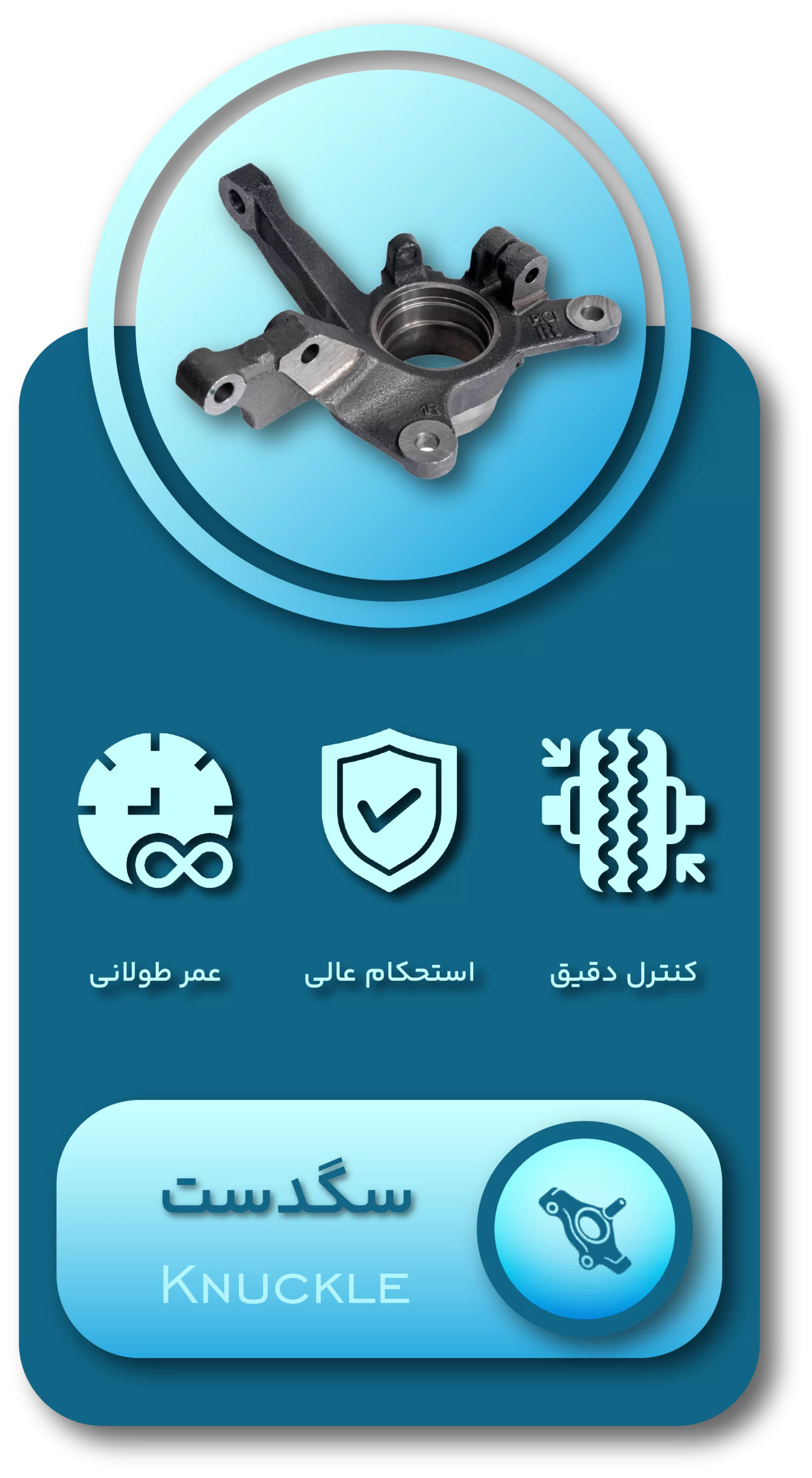 اینفوگرافی دسته بندی سگدست