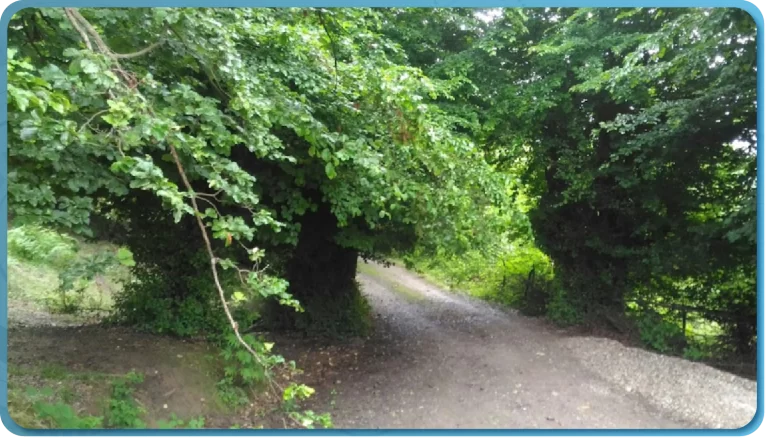 آب‌وهوا و طبیعت بکر بشل